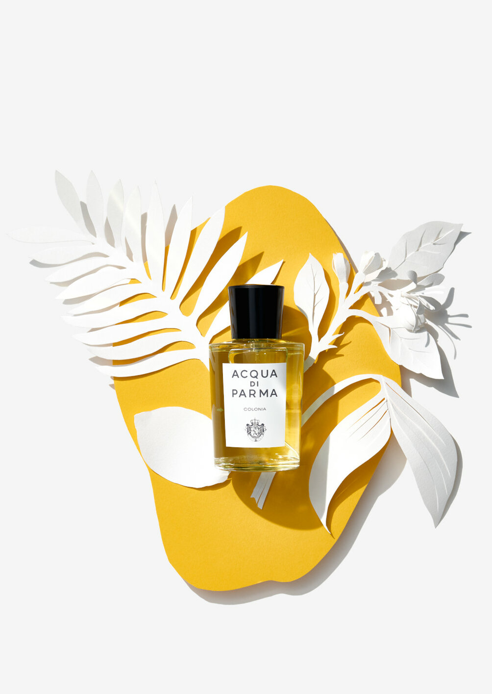 Acqua di Parma Colonia kaufen bei ludwigbeck.de