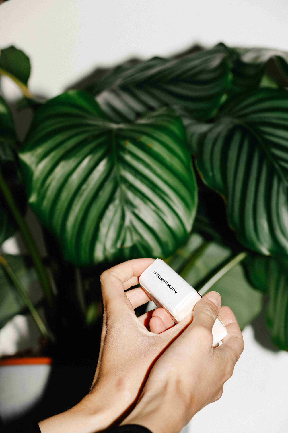 Stop the water while using me kaufen bei ludwigbeck.de