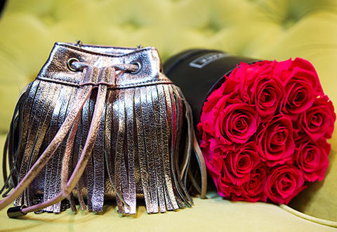 Accessoires Accessoires